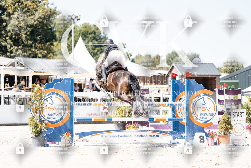 CK909550 | Turnierfotografie Pferdefotografie Trier Rheinland-Pfalz Pferdesport Reitsport Tierfotografie Sportfotografie Pferdevideo Pferdevideografie Equestrianvideography equestrianphotography  - Realisiert mit Pictrs.com