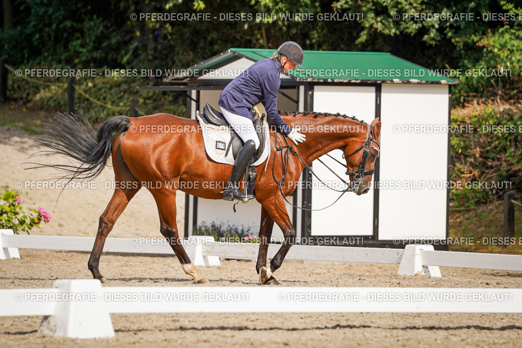 DSC07286 | Pferdegrafie