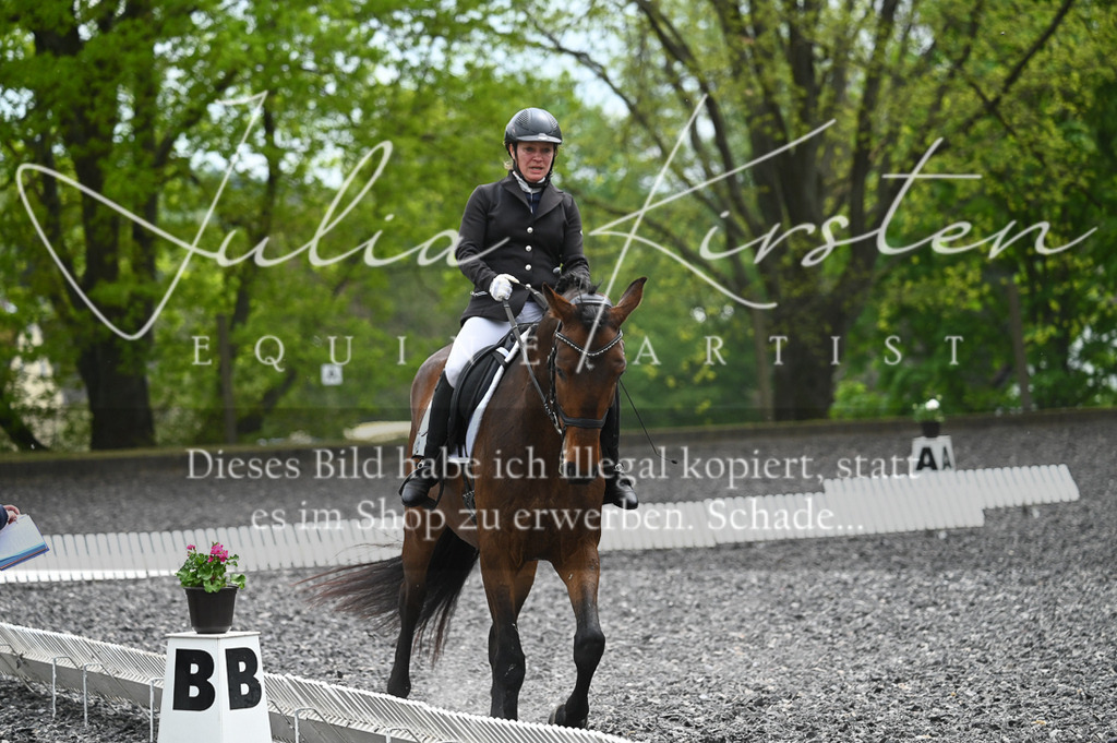 20230512_JK-Röhrsdorf-07-113 | Pferde- und Turnierfotografie in Westsachsen. Pferdeportraits, Auftragszeichnungen und intuitive Kunst.