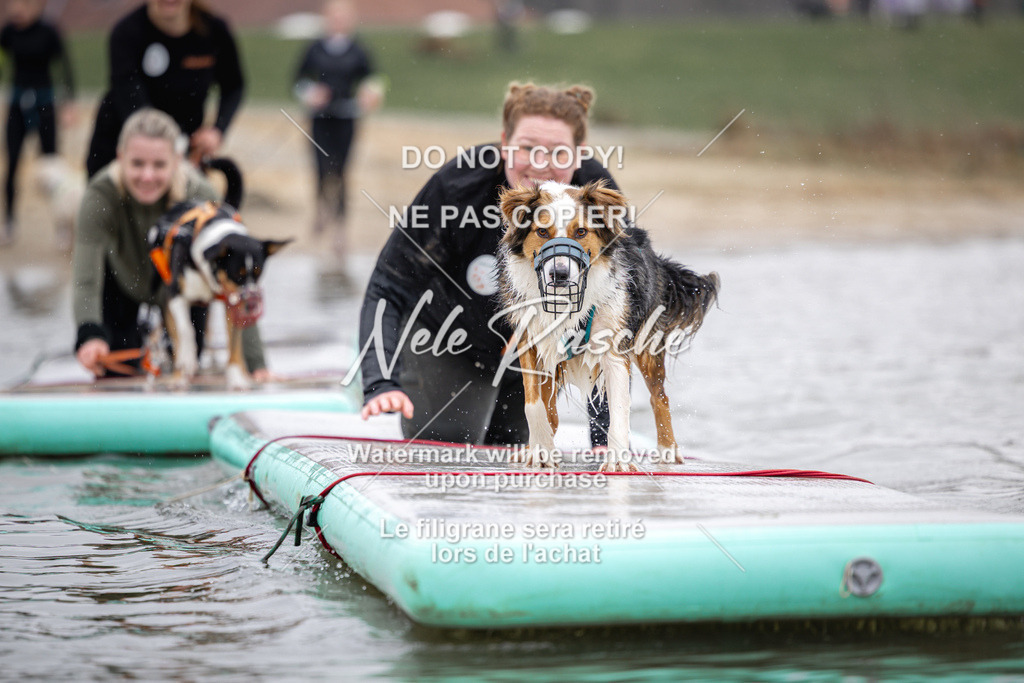 nelerasche_Hulsbeek_Sa1130-1230_10 | nelerasche