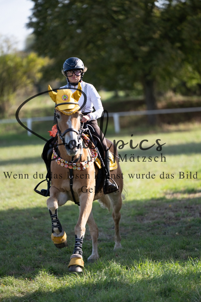 A7V06626 | Pferdefotograf