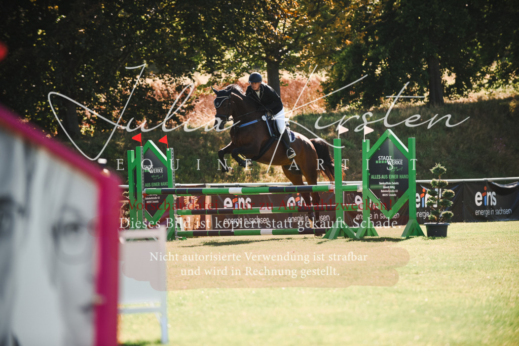 DSC_2407 | Pferde- und Turnierfotografie in Westsachsen. Pferdeportraits, Auftragszeichnungen und intuitive Kunst.