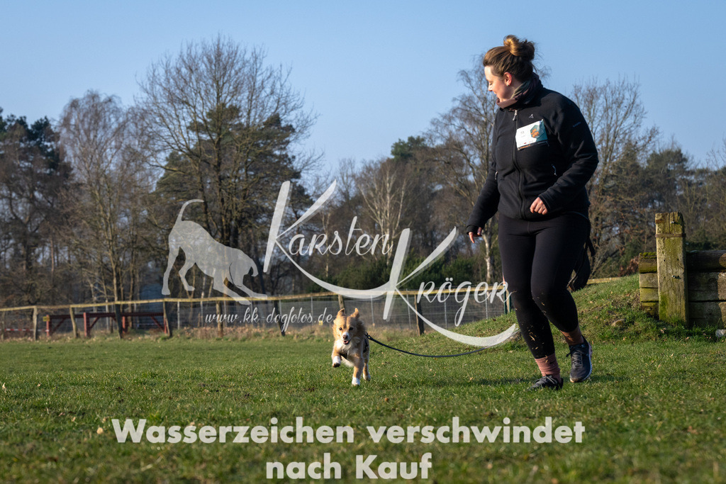 _ZZ91192 | kk-dogfotos