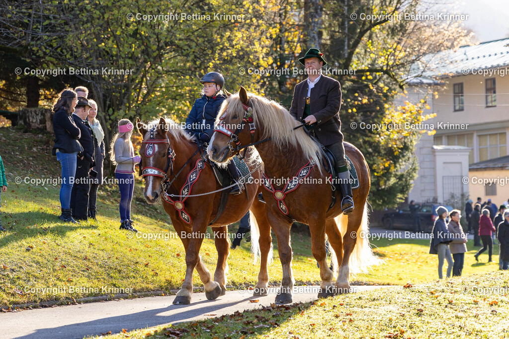 LL24-192 | foto-bettina-krinner - Realisiert mit Pictrs.com