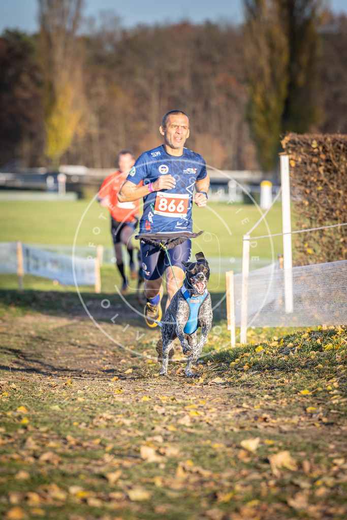 CaniXpix_DV3A4103 | Hundefotografie, Tierfotograf, Pfotenfotografie, Fotoshooting Hund, Hunde Portrait, Hundesport, Hundeportraits, Heideshooting, Hunde, Sportfotograf, Hundefotograf, Turnierhundsport, THS,  - Realisiert mit Pictrs.com