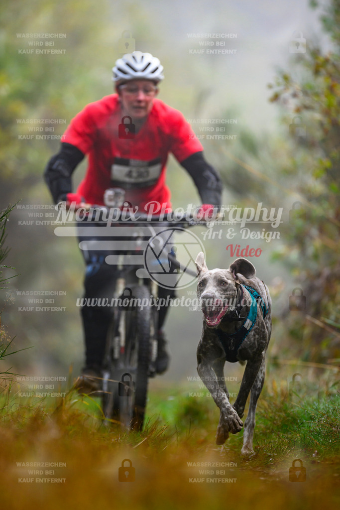 MompixPhotography_20TSB_E4_Bike-158 | PayLife
