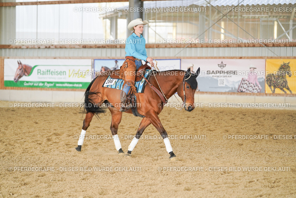 DSC00850 | Pferdegrafie