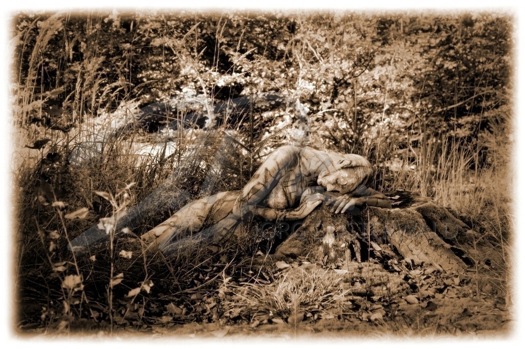 NatureArt-HERBSTRIEPEN_0058b | Schlafendes Sepia | #005 | Modell: Tina | Foto: Andreas Meier - Realisiert mit Pictrs.com