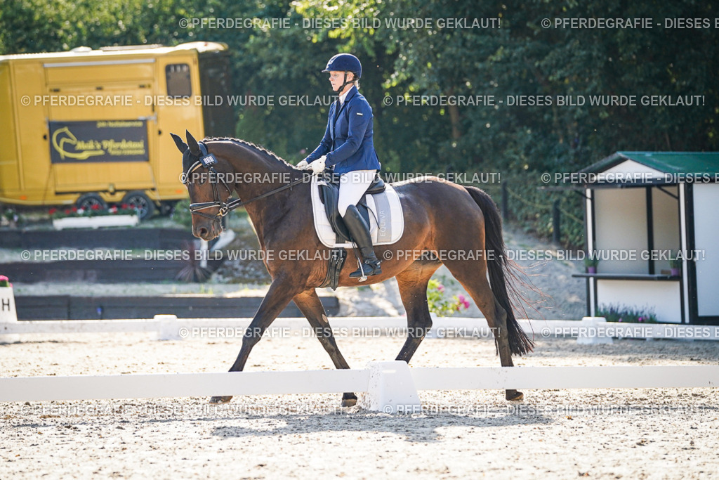 DSC09151 | Pferdegrafie