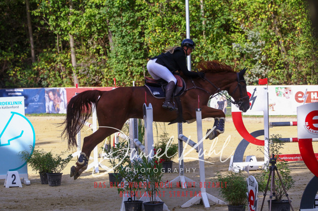 DKP42417 | Deine Turnierfotos vom Reitturnier online kaufen: Dressur, Springen & Siegerehrung. Professionelle Pferdefotografie aus dem Rheinland – als Download & Print.Alternative: Turnierfotograf für den Pferdesport: Finde deine Fotos von Dressur- und Springturnier