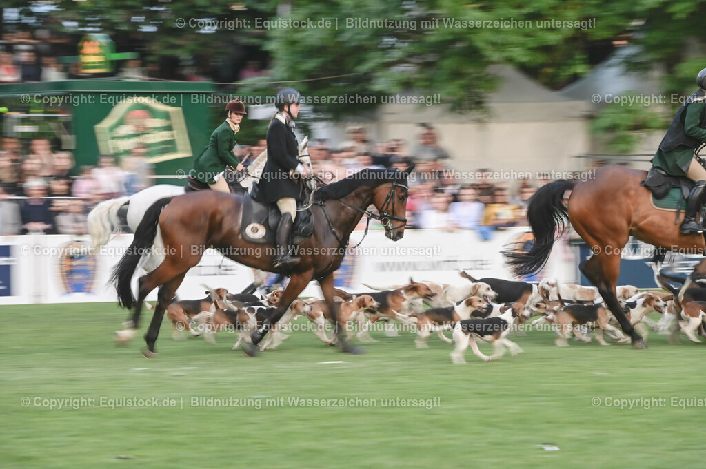 20230526_Pferdenacht_0653 | equistock