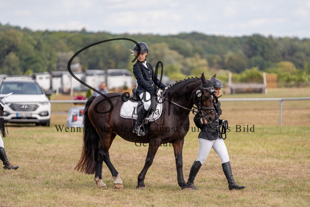 A7V08903 | Turnier/Reitfotograf