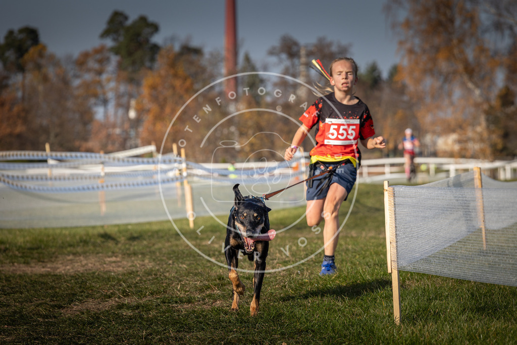CaniXpix_0L8A9127 | Hundefotografie, Tierfotograf, Pfotenfotografie, Fotoshooting Hund, Hunde Portrait, Hundesport, Hundeportraits, Heideshooting, Hunde, Sportfotograf, Hundefotograf, Turnierhundsport, THS,  - Realisiert mit Pictrs.com