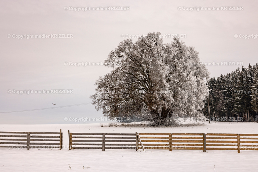 _J3A9672 | medienkrizzler - Realisiert mit Pictrs.com