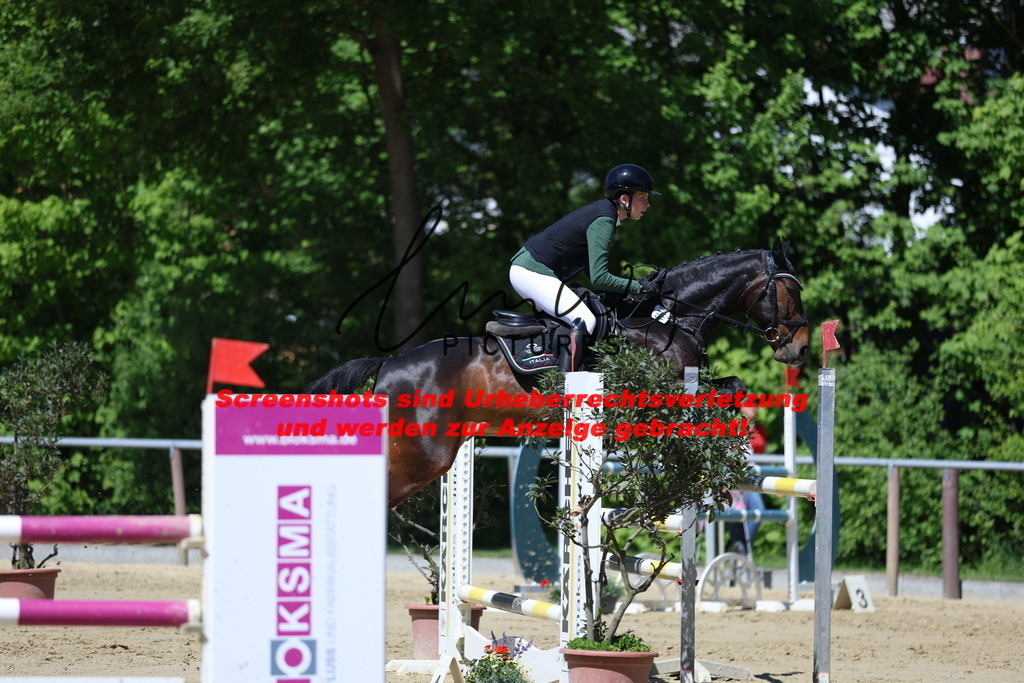 M05A6222 | lmwpictures - Realisiert mit Pictrs.com