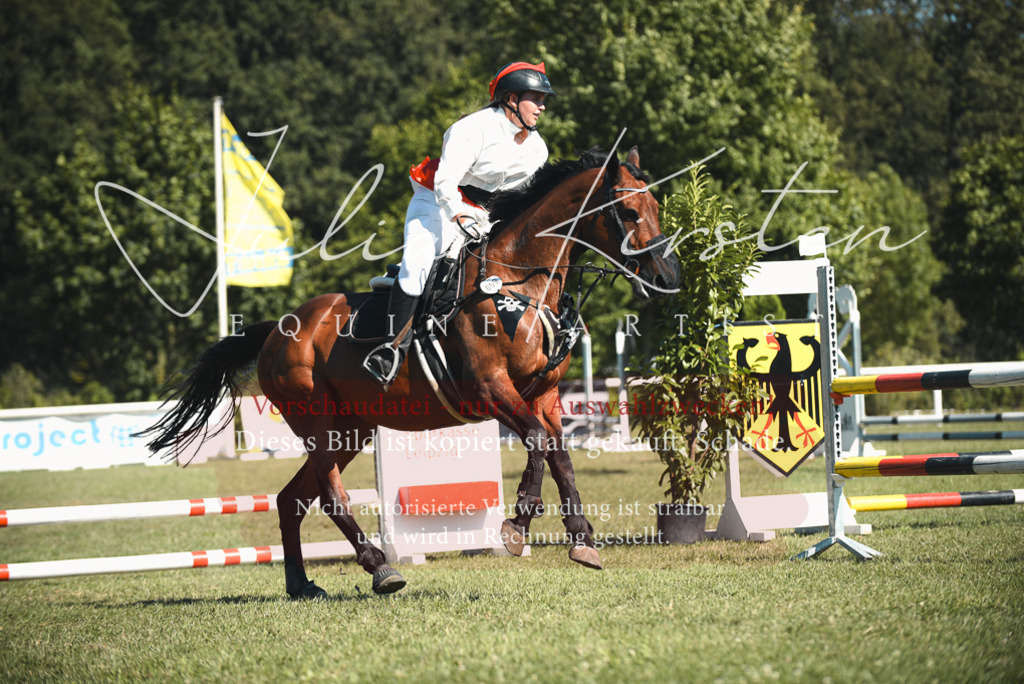 DSC_7408 | Pferde- und Turnierfotografie in Westsachsen. Pferdeportraits, Auftragszeichnungen und intuitive Kunst.