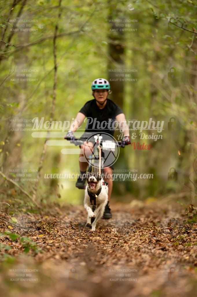 TSB_2023_E1_Bike-56 | PayLife