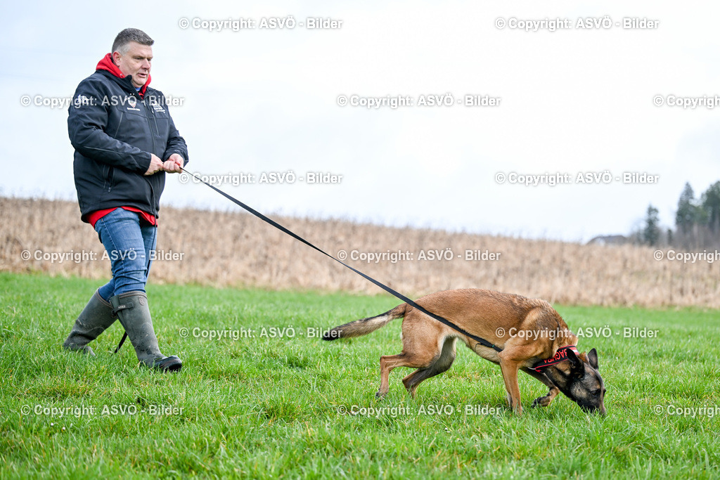 ASVÖ_ Tracking Dog World Championship 2025_ 31.03.2025-54 | 31.03.2025, AUT, ASVÖ, Tracking Dog World Championship // FCI IGP Fährtenhundeweltmeisterschaft 2025©fodo.media / Harald Dostal - Realisiert mit Pictrs.com
