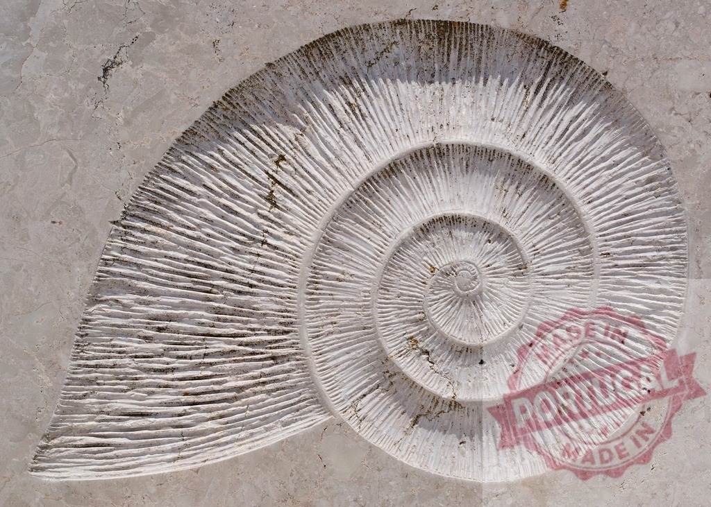 Ammonite fossil embedded in a marble surface creating a beautiful spiral pattern | Close-up of an ammonite fossil decorating a marble surface, showcasing the intricate spiral pattern - Realisiert mit Pictrs.com