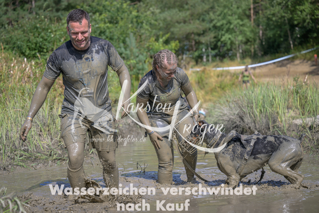 1641_ZZ97133 | kk-dogfotos