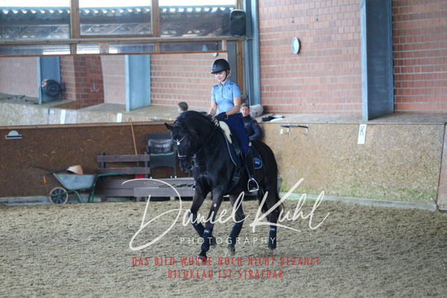 DKP42722 | Turniersportfotografie; Pferdefotografie; Dressurfotografie