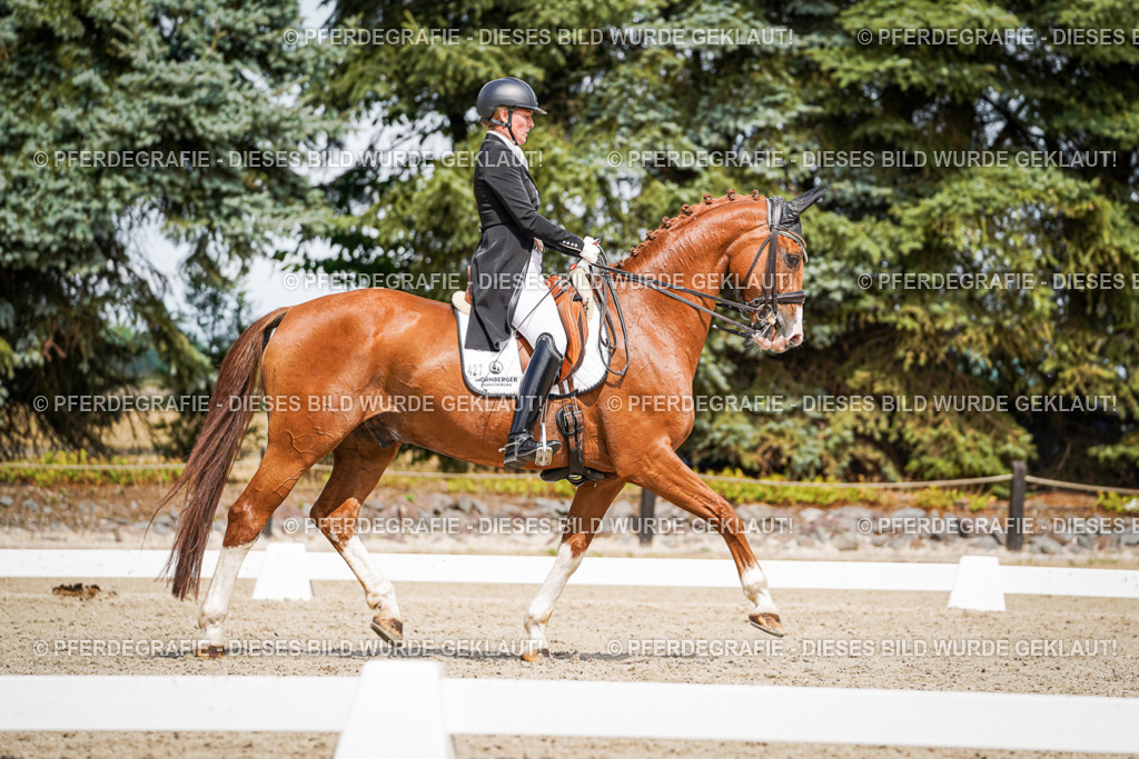 DSC06414 | Pferdegrafie