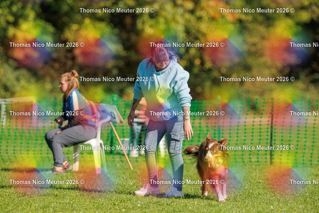 Thomas_Nico_Meuter(C)_04. Oktober 2026_223A2019 | Bild von Thomas Nico Meuter - Realisiert mit Pictrs.com