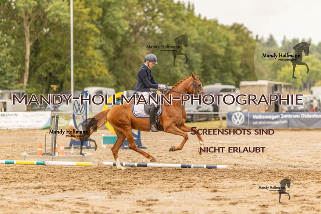 26-8-7 RC H RPF-274 | mandyhollmannphotographie