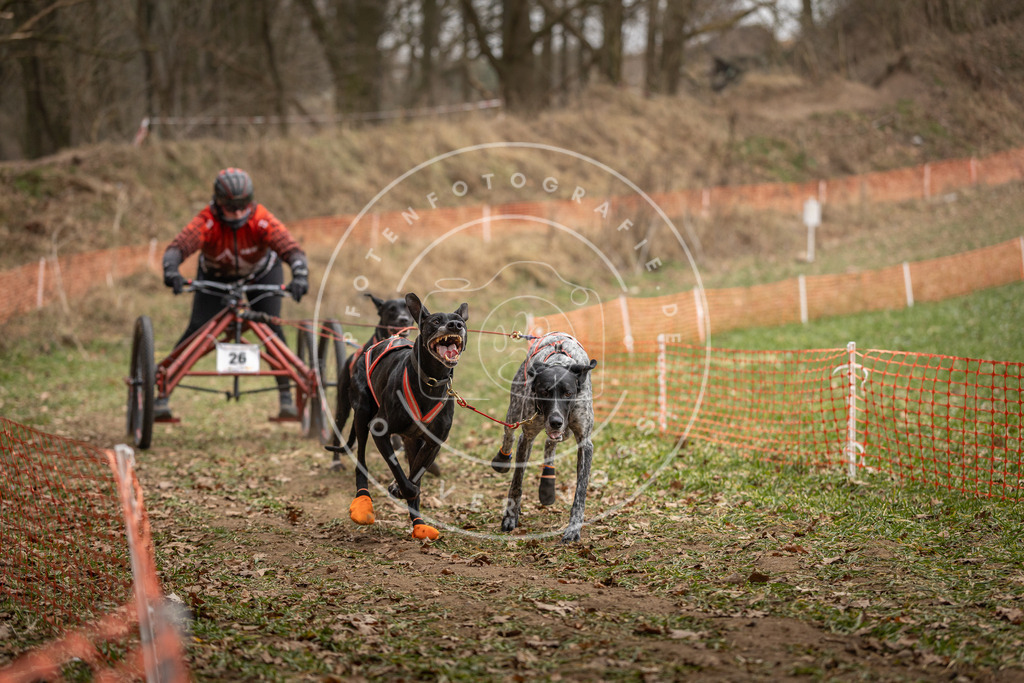 Pfotenfotografie_DV3A8016 | Hundefotografie, Tierfotograf, Pfotenfotografie, Fotoshooting Hund, Hunde Portrait, Hundesport, Hundeportraits, Heideshooting, Hunde, Sportfotograf, Hundefotograf, Turnierhundsport, THS,  - Realisiert mit Pictrs.com