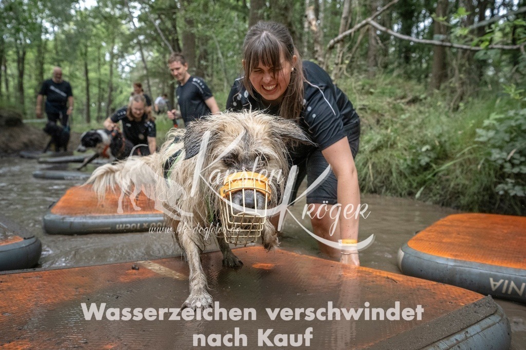 1211_ZZ97620T | kk-dogfotos