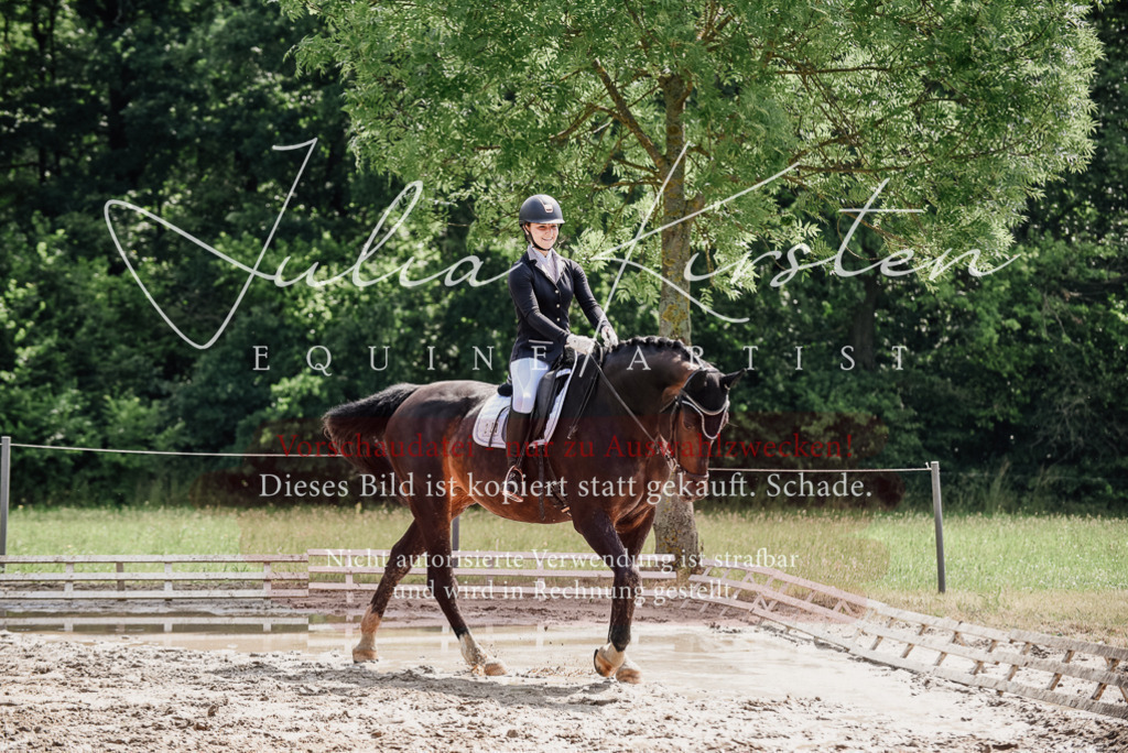 DSC_0607 | Pferde- und Turnierfotografie in Westsachsen. Pferdeportraits, Auftragszeichnungen und intuitive Kunst.