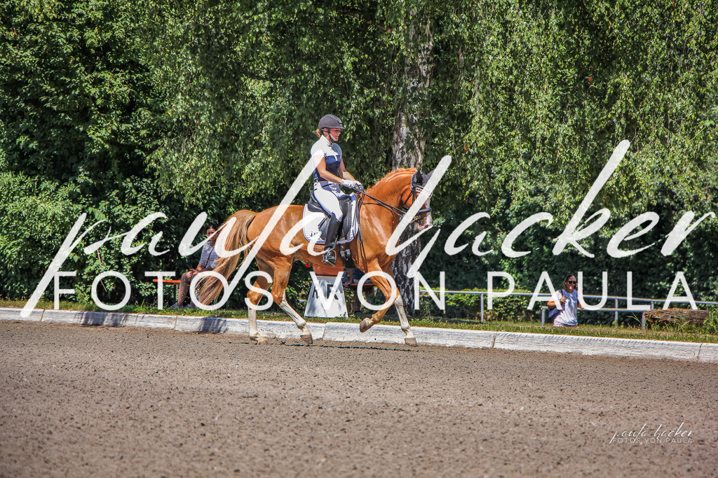 IMG_0569 | Erleben Sie dynamische Sport- und emotionale Tierfotografie in Süddeutschland mit Fotos von Paula. Spezialisiert auf Pferde- und Hundefotografie sowie Sportevents. Kontaktieren Sie mich für einzigartige und ausdrucksstarke Bilder Ihrer besonderen Momente.