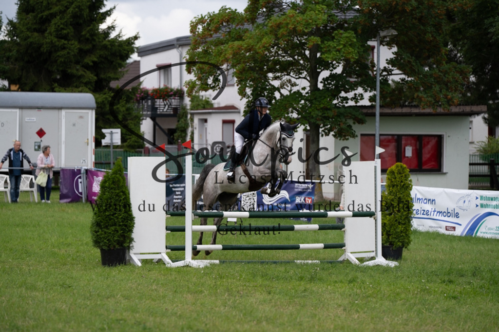 A7V04016 | Pferdefotograf