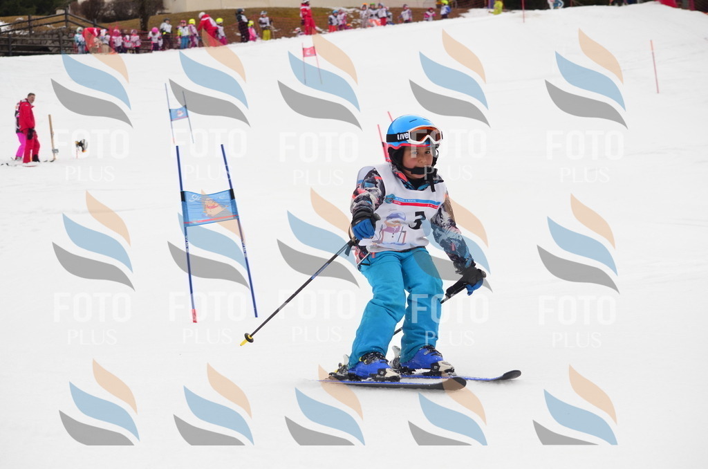 B9506 | holidayphoto