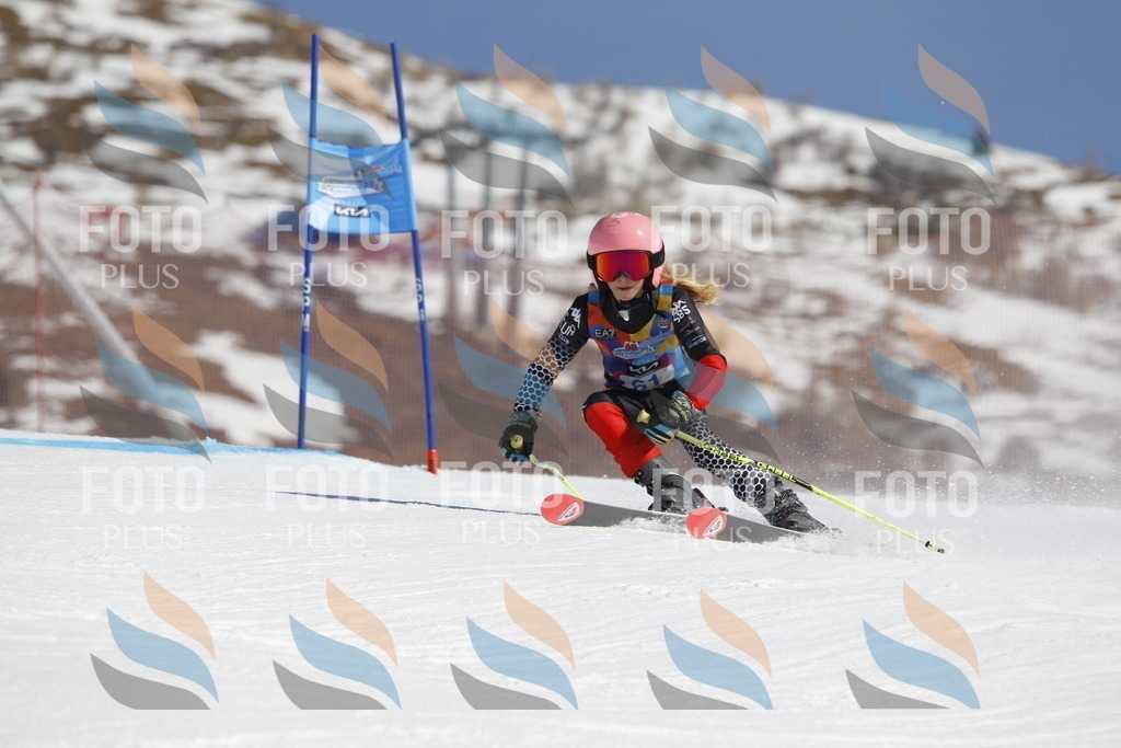 _U3G9629 | holidayphoto