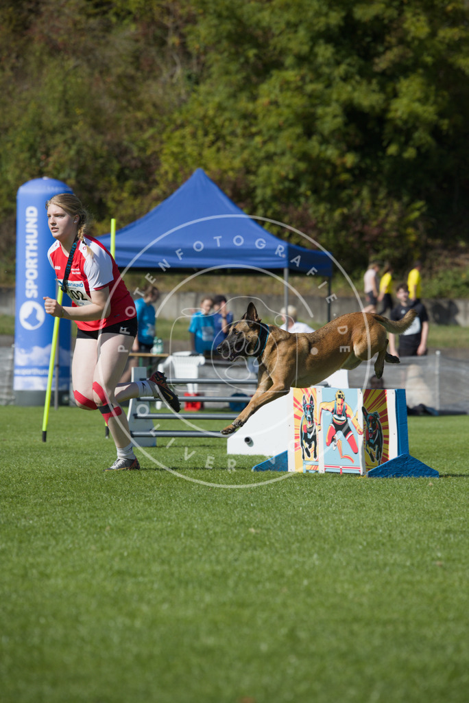 0L8A7265 | Hundefotografie, Tierfotograf, Pfotenfotografie, Fotoshooting Hund, Hunde Portrait, Hundesport, Hundeportraits, Heideshooting, Hunde, Sportfotograf, Hundefotograf, Turnierhundsport, THS,  - Realisiert mit Pictrs.com