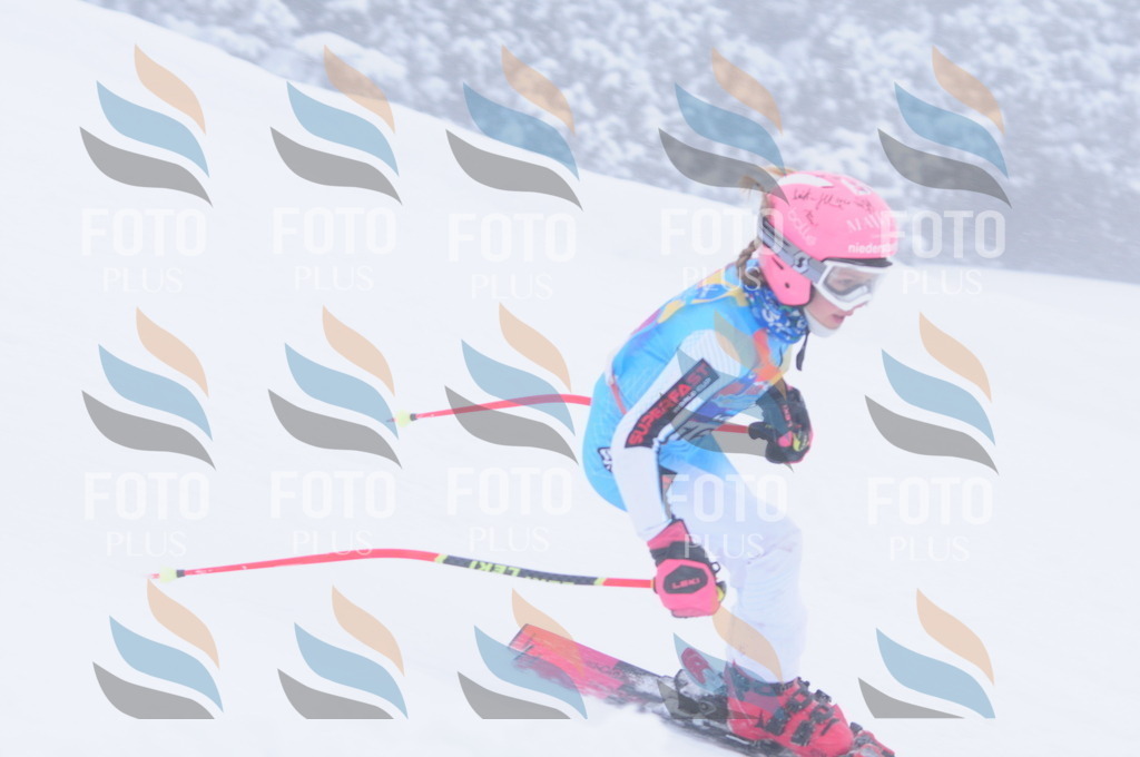 C1965 | holidayphoto