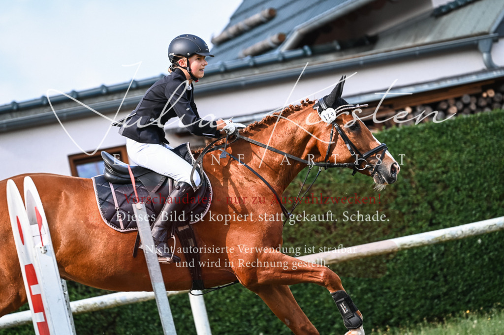 DSC_7967 | Pferde- und Turnierfotografie in Westsachsen. Pferdeportraits, Auftragszeichnungen und intuitive Kunst.