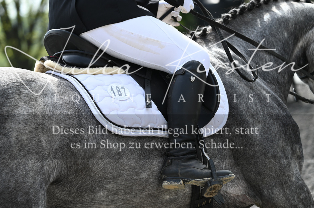20230512_JK-Röhrsdorf-01-028 | Pferde- und Turnierfotografie in Westsachsen. Pferdeportraits, Auftragszeichnungen und intuitive Kunst.