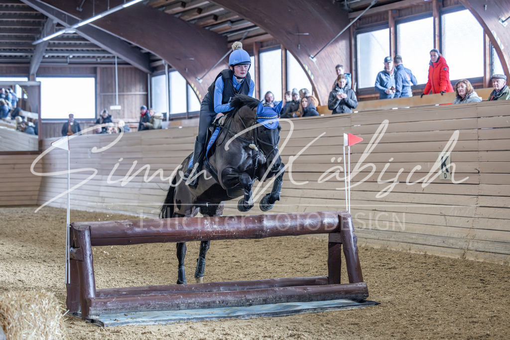 20260221-_3LI9203 | Tierfotografie Pferde, Hunde, Katzen, Haustiere.
Turnierfotografie Reitturniere, Reiten, Springreiten, Dressur in Hanau, dem Main-Kinzig-Kreis und dem Rhein-Main- Gebiet um Frankfurt