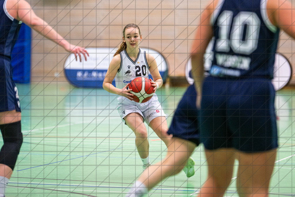 2. DBBL Nord 25/26 | Spieltag 10 | BBC Osnabrück vs. Hürther BC | //  07.12.25: 2. DBBL Nord 25/26 | Spieltag 10 | BBC Osnabrück vs. Hürther BC / Osnabrück / Deutschland  //   CREDIT:www.bullenfotos.de, Martin König, Hörner Weg 40, D-49078 Osnabrück, +4917663732967 // Nutzung und Weitergabe nur zu den vereinbarten Zwecken. Presseanfragen an Ersteller. Alle Rechte beim Ersteller. Honorierung nach MFM. - Realisiert mit Pictrs.com