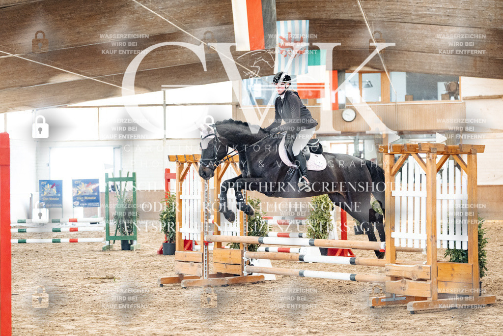 CK903975 | Turnierfotografie Pferdefotografie Trier Rheinland-Pfalz Pferdesport Reitsport Tierfotografie Sportfotografie Pferdevideo Pferdevideografie Equestrianvideography equestrianphotography  - Realisiert mit Pictrs.com