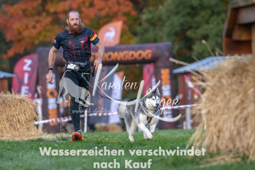 0841_ZZ91168-Bearbeitet | kk-dogfotos