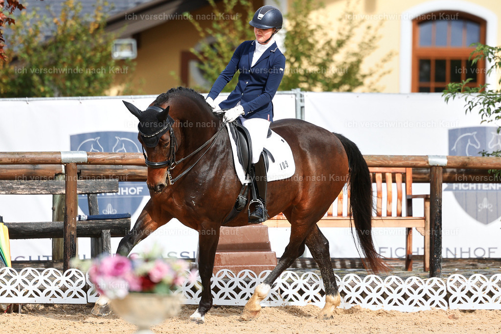 05-109-DRESSUR M_  -StoibPH-4926 | working equitationturnier fotograf videograf stoibphotography marixx film working equitation deutschland reitsport turnierfotografie eventfotografie equestrian events