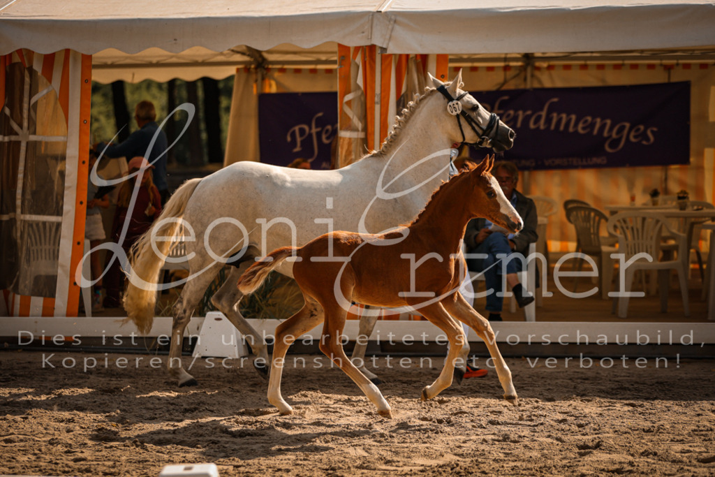 10.DoRP00220 | Leoni Ertmer Photography - Realisiert mit Pictrs.com