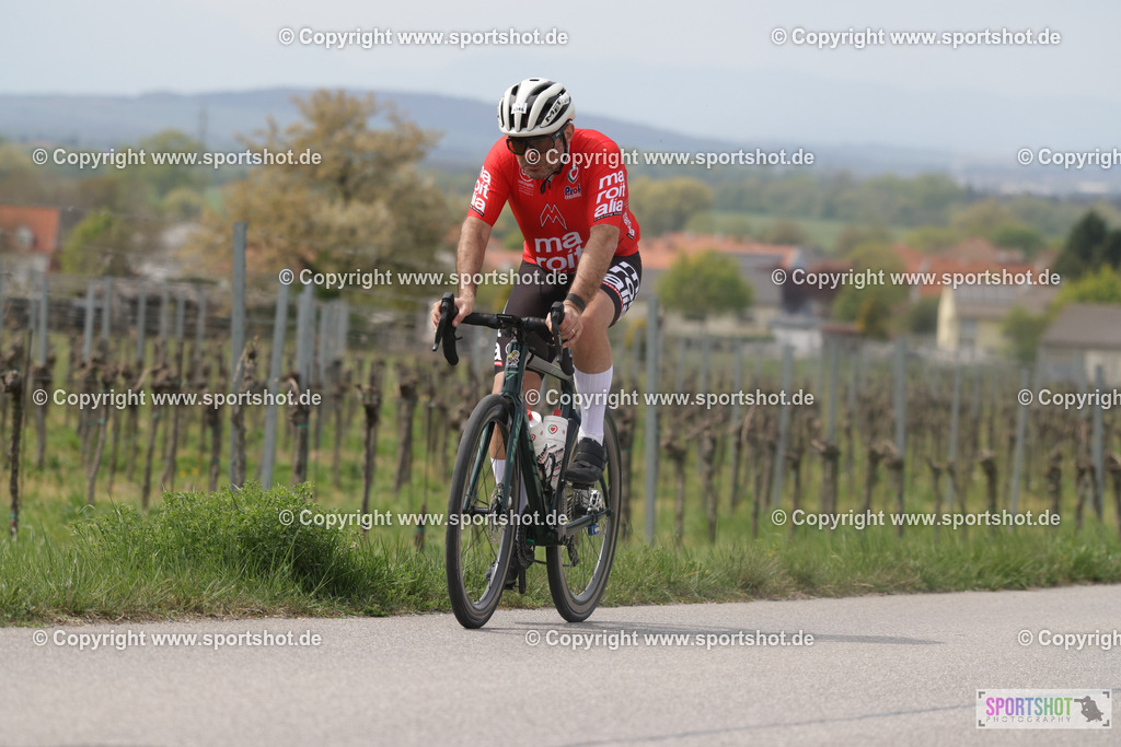 368A5454 | Neusiedlersee Radmarathon 2026@sportshot_your_pictrs #yourpictures#roadtowm2029 #nrm #neusiedlerseeradmarathon #neusiedlersee #neusiedlerseetourismus #burgenland #mörbisch #nrm26 #burgenlandtourismus #voglundco #poweredbyburgenlandtourismus #radsport #rad #marathon #ucigranfondo #visitburgenland #ucigranfondoworldseries