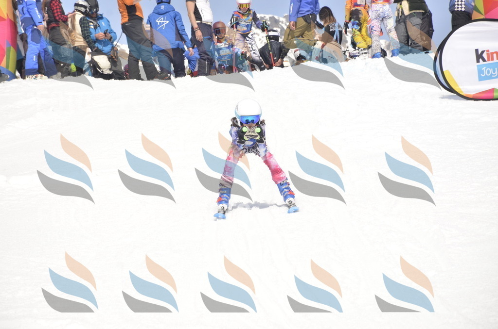 _ELE9018 | holidayphoto