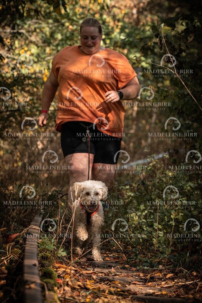 madeleinebirr.fotografie.2026.cc.hunsrueck.12-13Uhr.95 | hundefotografie-birr