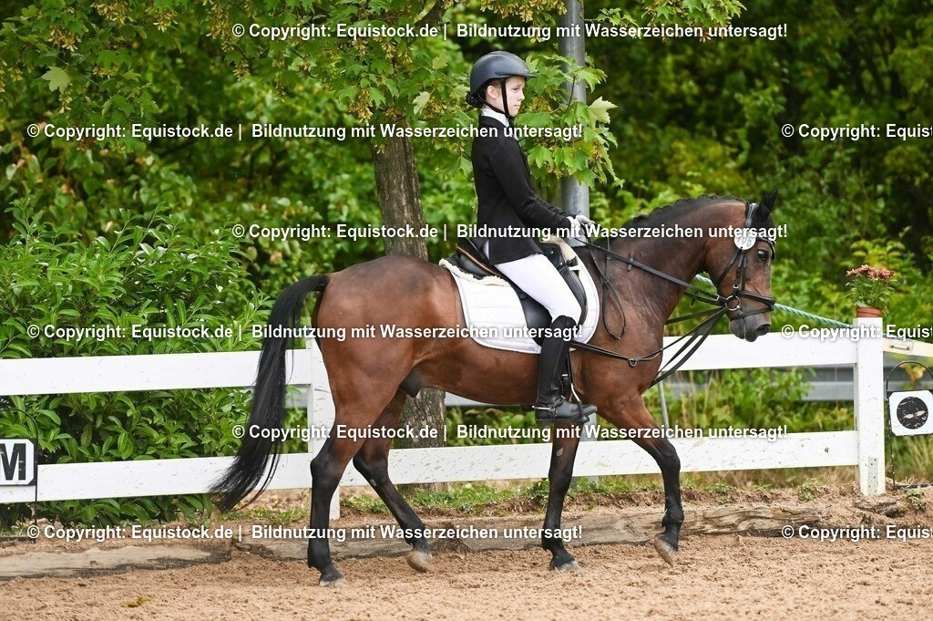 20230716_10-2_Reiter-WB Schritt - Trab - Galopp_0096 | equistock