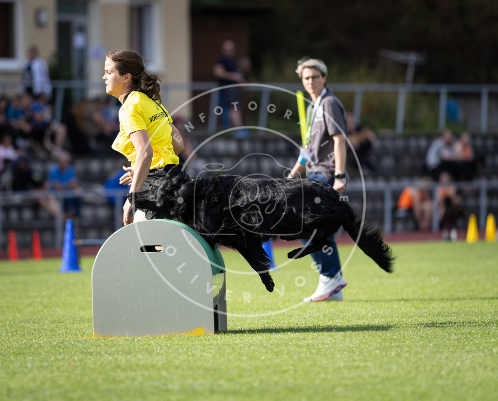 Pfotenfotografie_DV3A1871 | Hundefotografie, Tierfotograf, Pfotenfotografie, Fotoshooting Hund, Hunde Portrait, Hundesport, Hundeportraits, Heideshooting, Hunde, Sportfotograf, Hundefotograf, Turnierhundsport, THS,  - Realisiert mit Pictrs.com